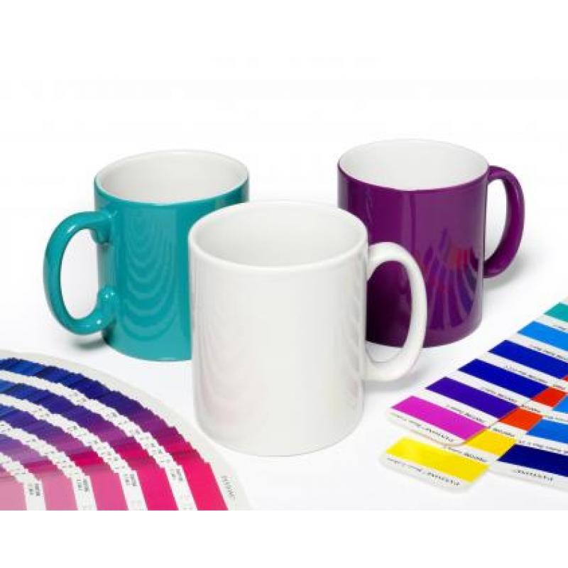 Image of AntiBug® Durham ColourCoat Mug
